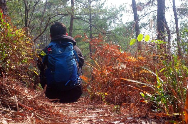 拓乐车顶行李框测评,车顶自行车架拓乐