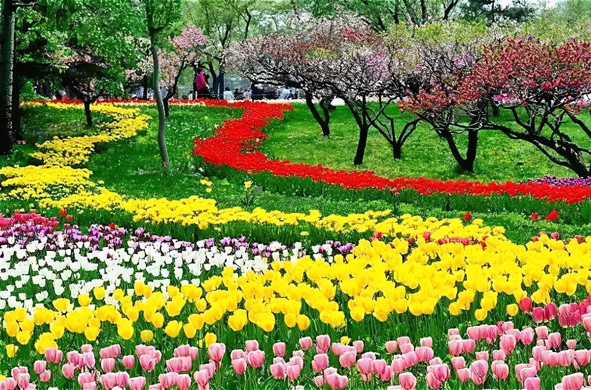 合肥最宜居小区,合肥最宜居的板块