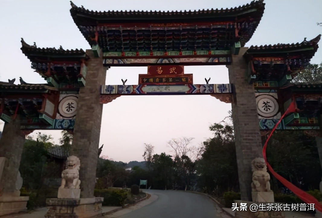 详述易武古树茶的几大亮点，告诉你茶友为什么喜欢喝？