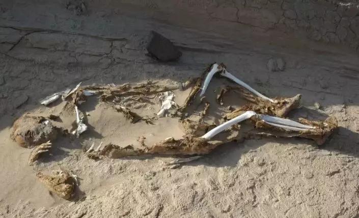 起步价5位数，究竟是什么样的石头，让那么多人冒死去捡