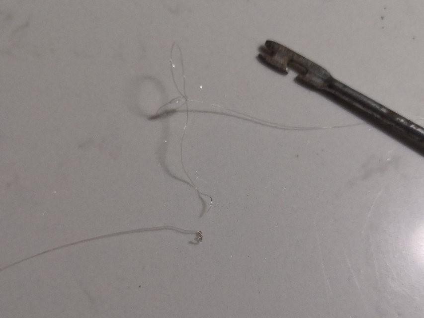 主线子线连接八字环方法一样吗,主线子线连接八字环全套动作