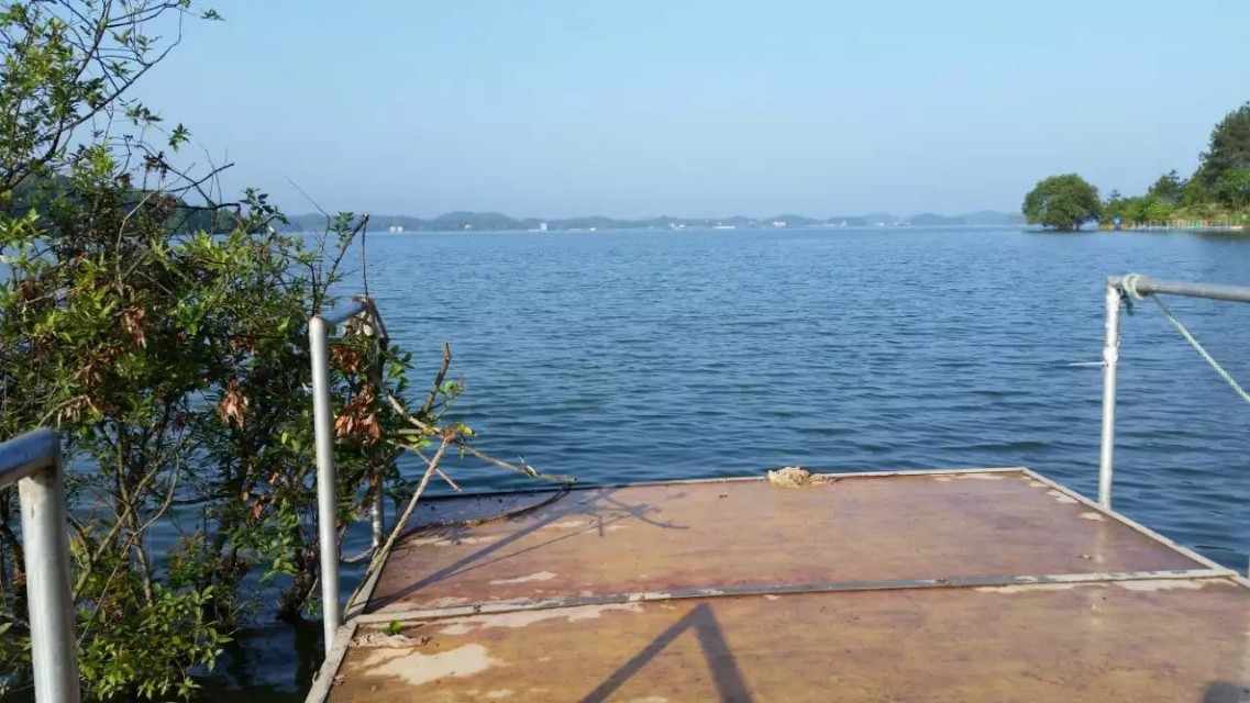 佳钓尼官方旗舰店美人鱼,佳钓尼赛事鱼护