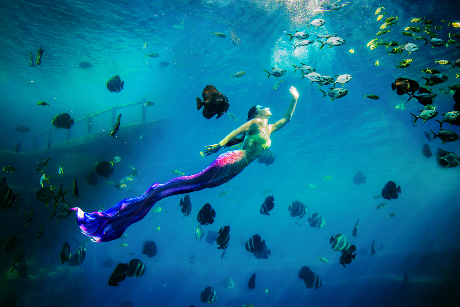 去三亚潜水哪个湾最好,三亚旅游潜水攻略自由行