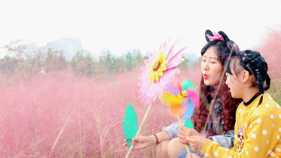 浦口最炫花海景点,浦口的花海