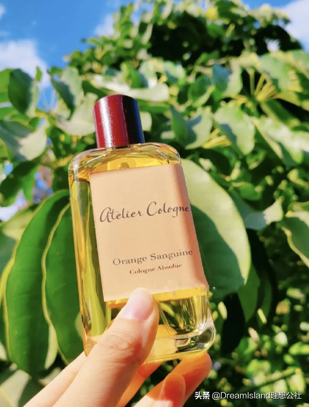 超好用的宝藏单品,拥有这几件单品足够了