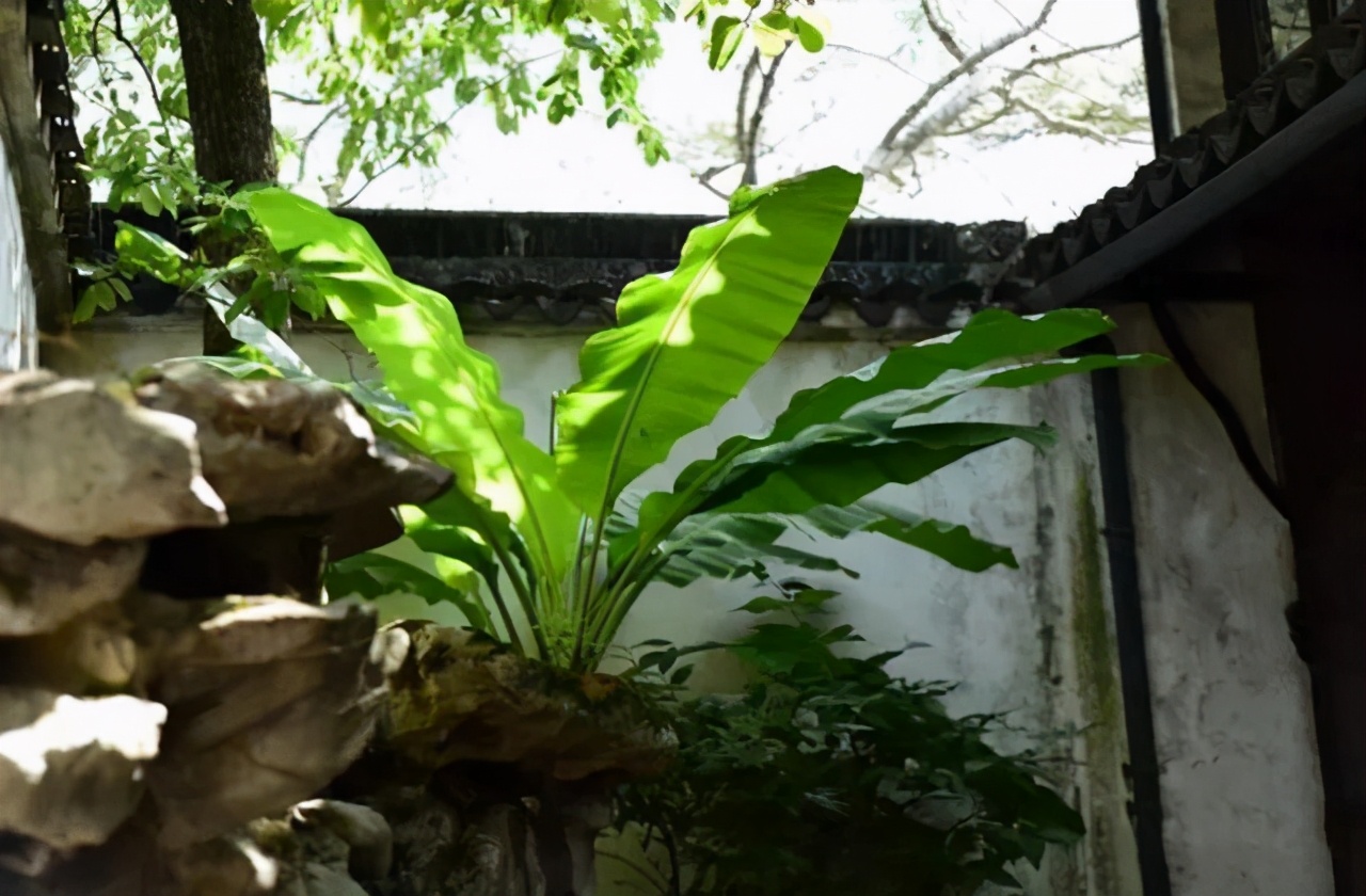 灵璧石赏石特点,灵璧石四大观赏石