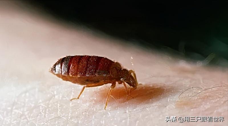 知青难忘的岁月,知青难忘的回忆故事