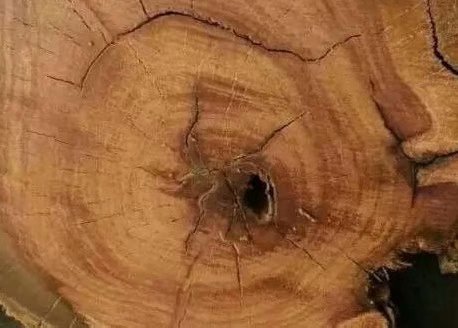 海南黄花梨和小叶紫檀金丝楠木,缅甸花梨和海南黄花梨的图片对比