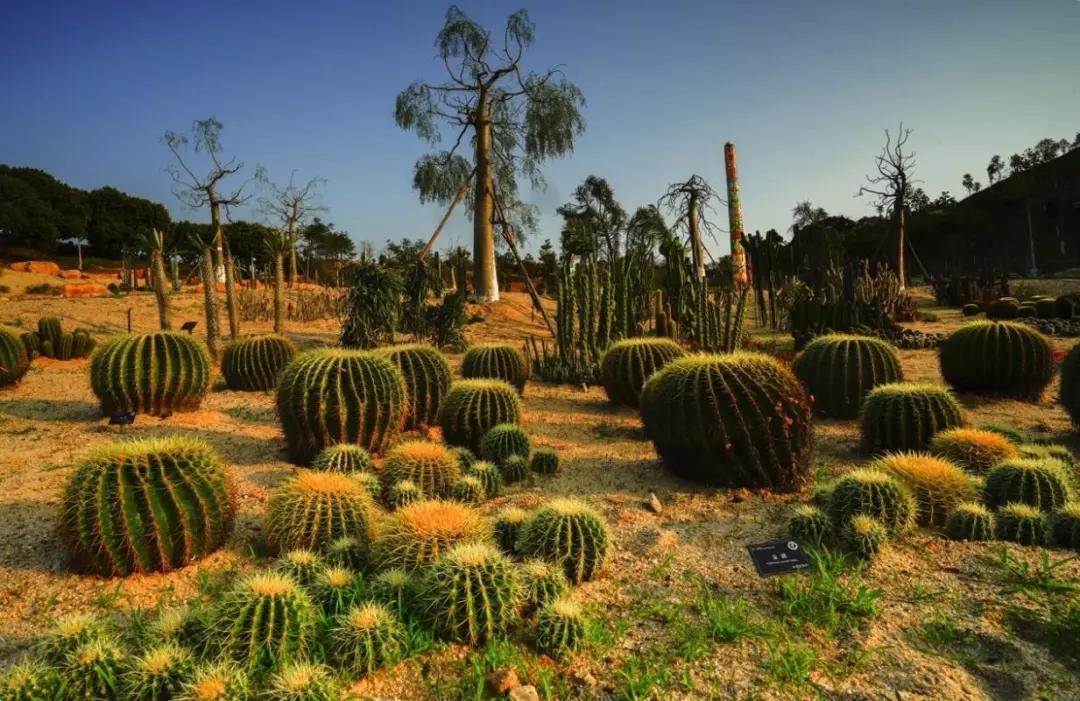 深圳自驾游十大免费景点推荐,重庆到深圳自驾游景点