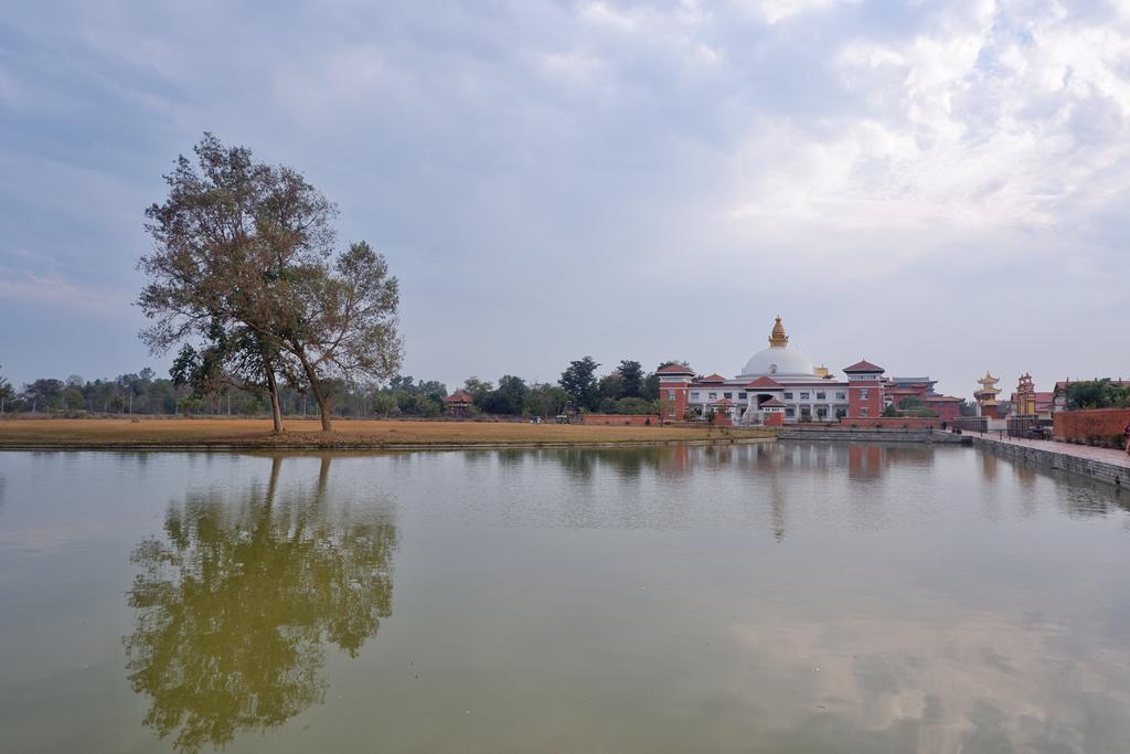 坐公交出国,坐公交可以环游中国么