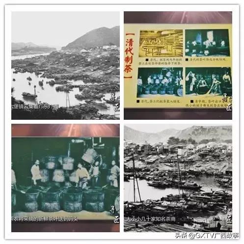 当年下南洋的广西、广东劳工，靠这茶水顶住了艰苦恶劣的环境！