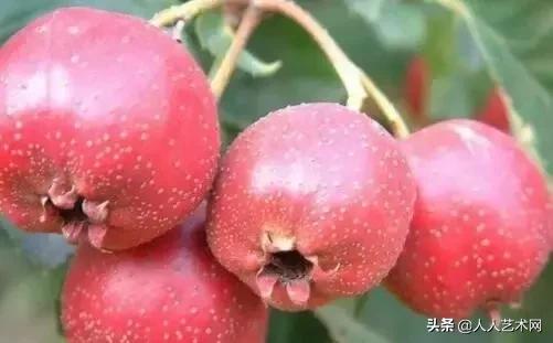 诸城简介,诸城是什么样的图片