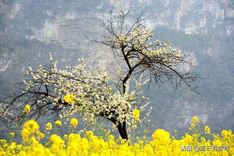 孙中山先生为其《传》亲笔题写序文的他，原来长眠于此