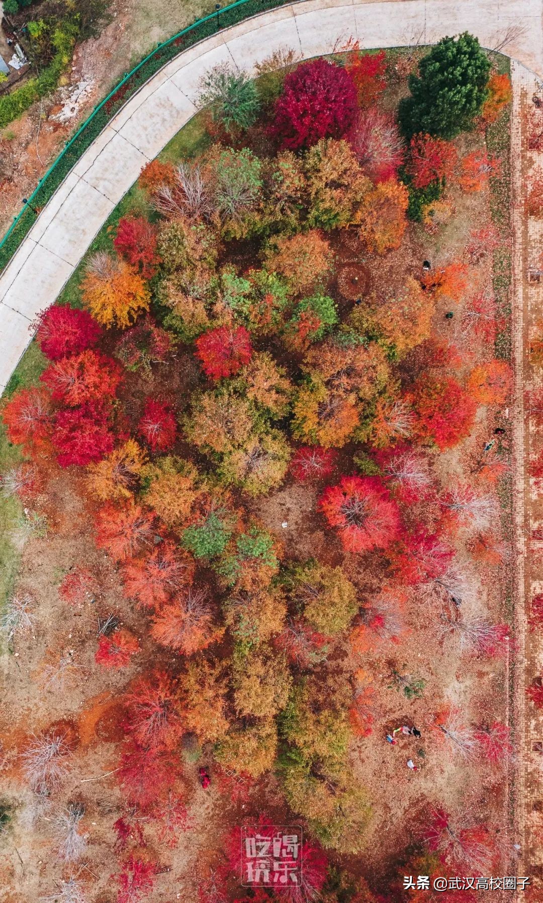 爸妈我想回家视频,爸妈我想回家了原视频