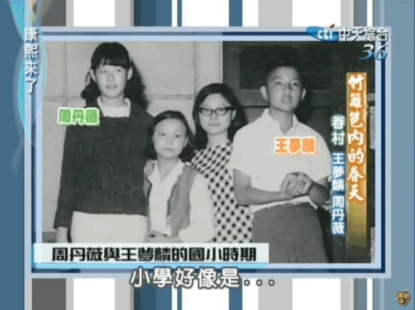 绝代佳人四大美,台湾90年代的五位绝色美人