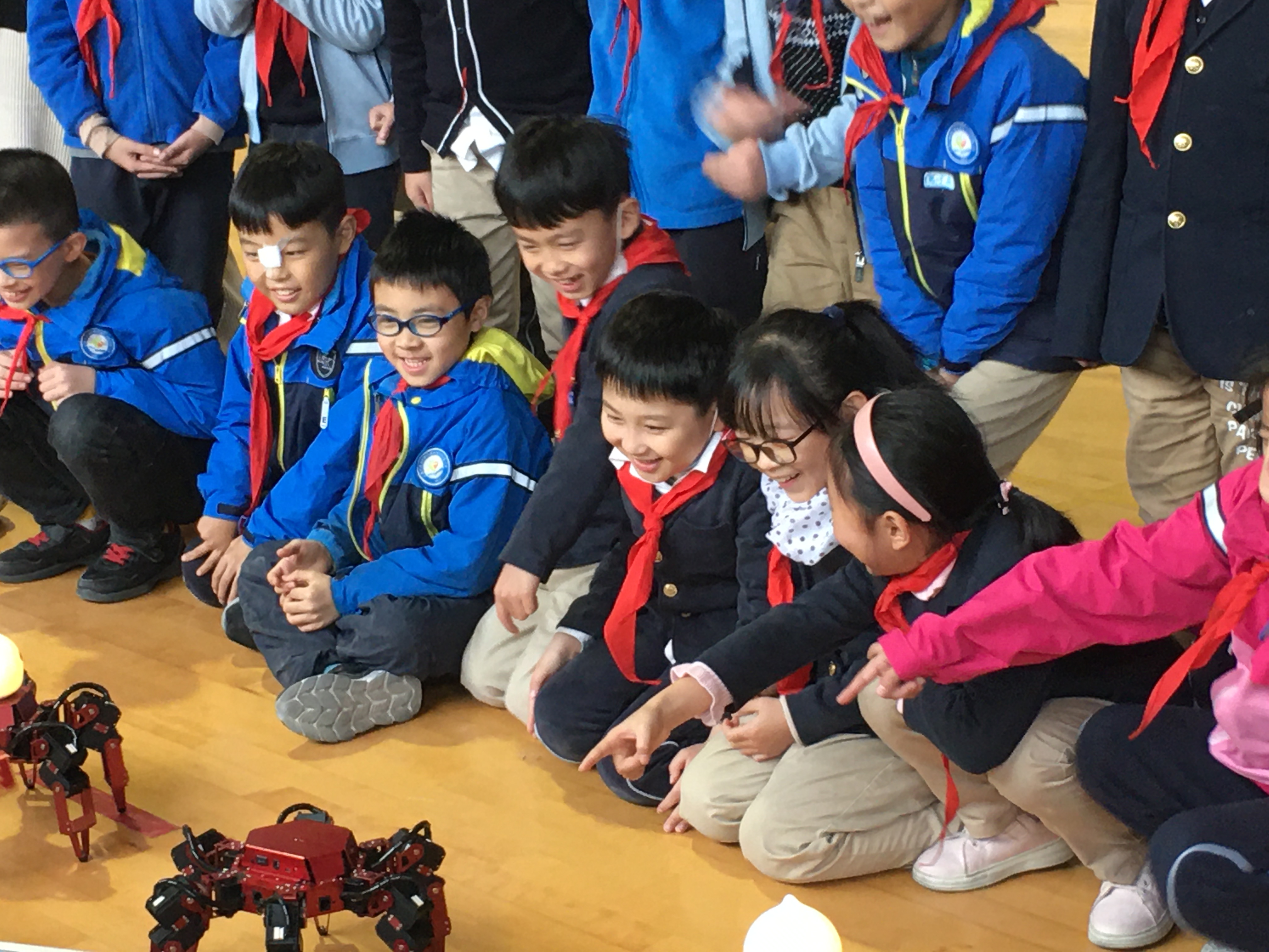 机器人教育权威机构,机器人编程教育排行榜