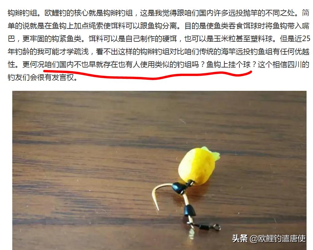 欧鲤钓必须用弯背钩吗,欧鲤钓真的那么厉害吗