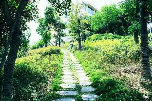 绵阳西南科技大学单招吗,绵阳城市学院单招专业