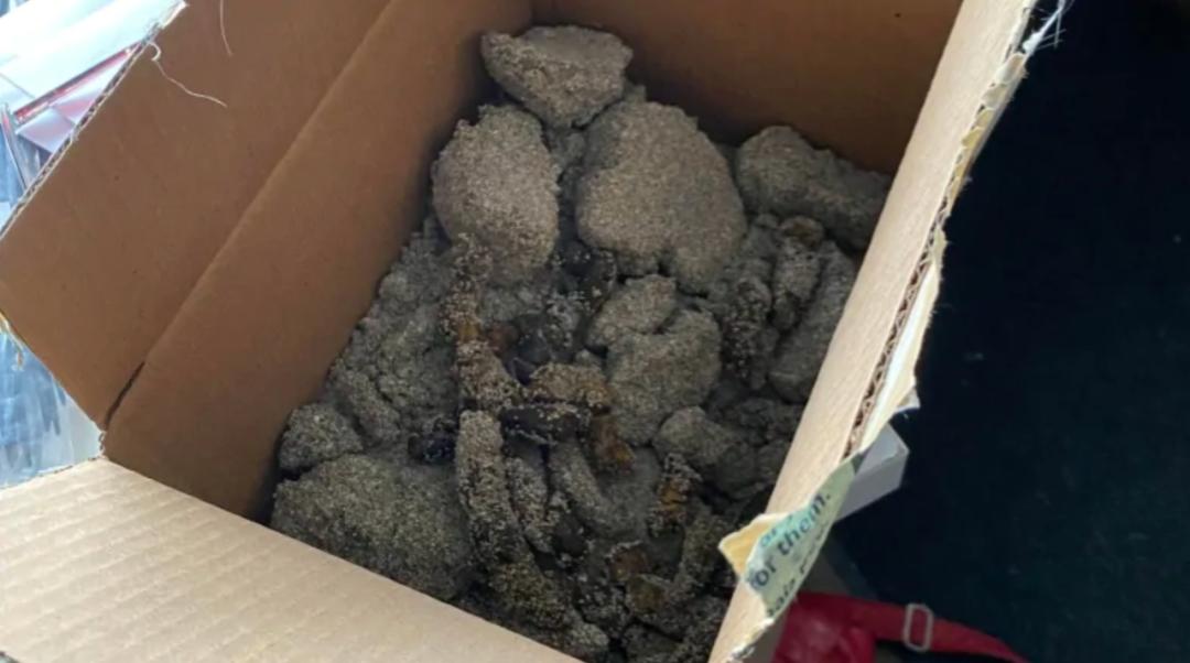 来美国五个月丢了10件快递,美国网购每天运送150万个包裹