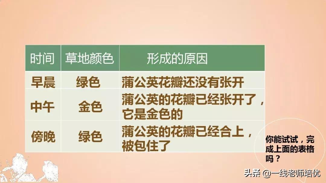 三年级语文金色的草地展现了什么,语文三年级上金色的草地课文讲解