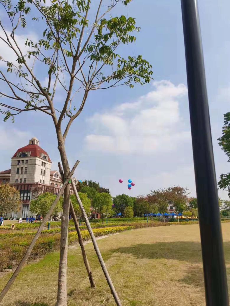 巧克力小镇可以干什么,巧克力小镇能免费体验做巧克力吗