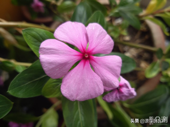 三星galaxya8s,三星galaxya8s评测