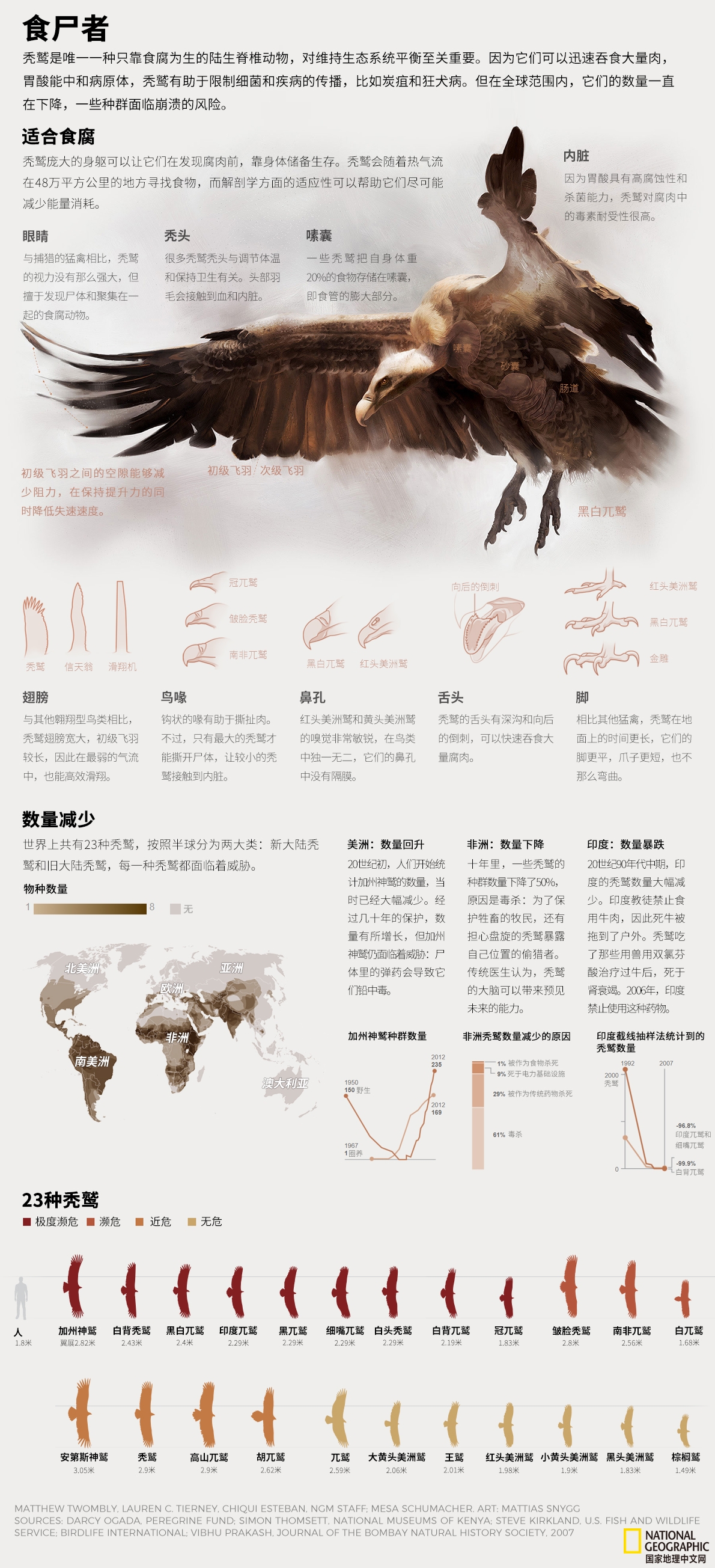 驱散兀鹫非常难？这里有个科学的方法