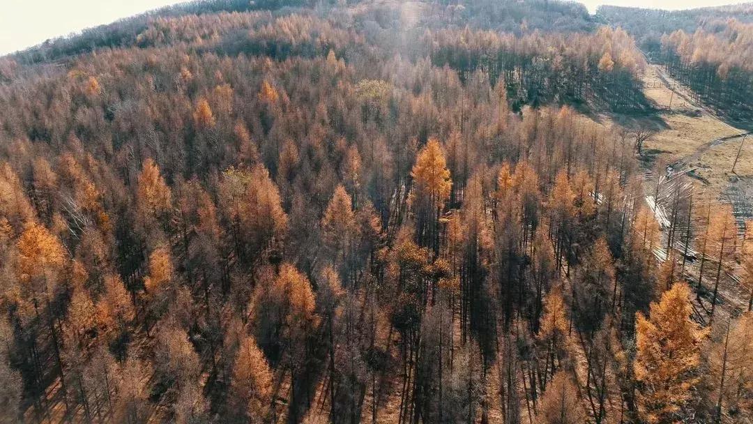 他用9年颠覆一个行业，获得千万财富的背后，竟是因为……