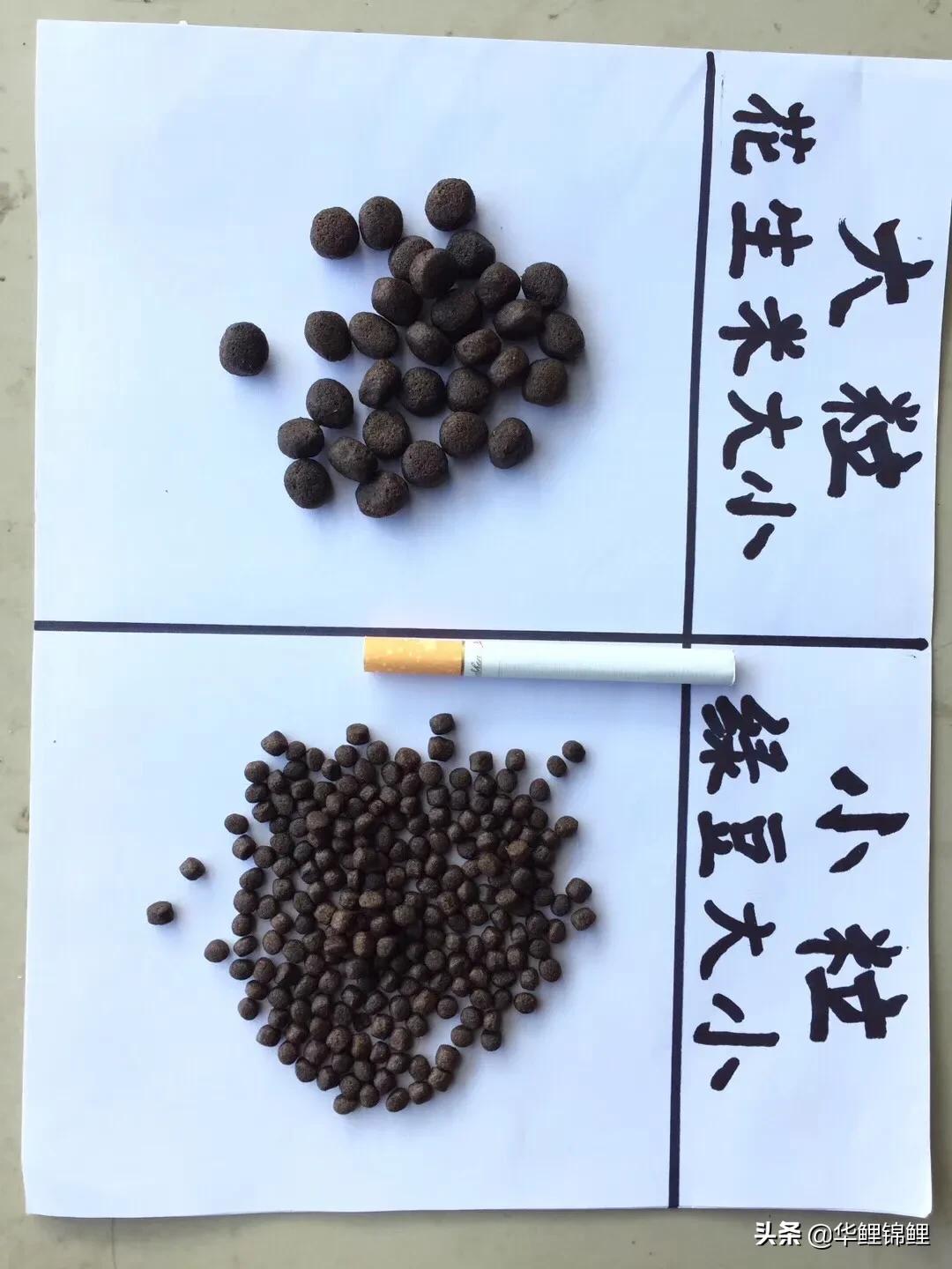 鱼饲料的区别与用途,鱼饲料主要成分有哪些