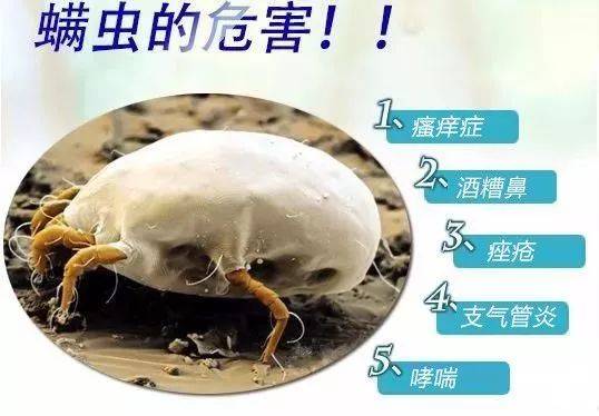 螨虫的最佳防治方法,螨虫感染的症状表现