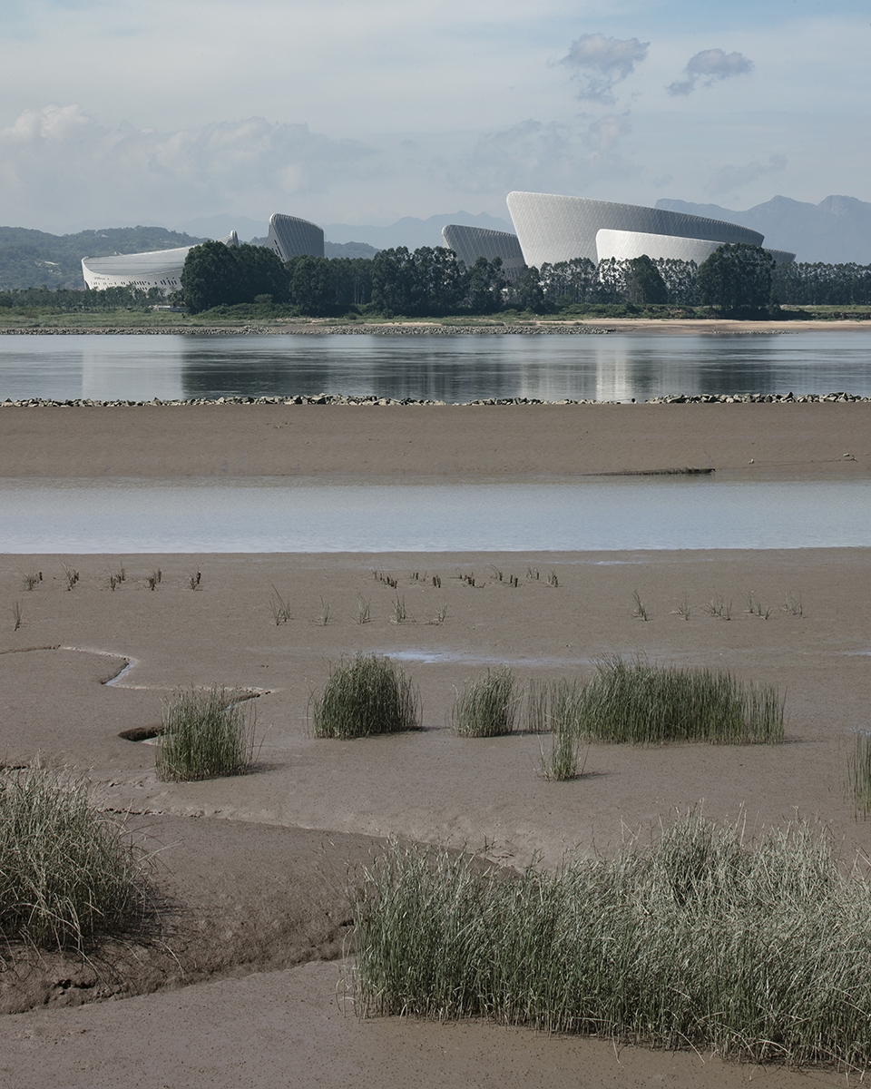 海峡艺术中心茉莉花,福州海峡文化艺术中心晚霞