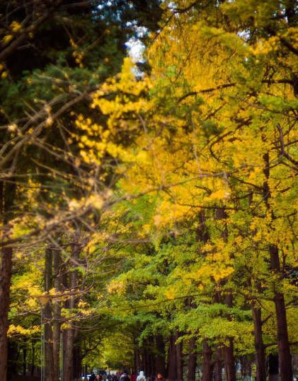 昆明适合拍照的景点有哪些,昆明大理周边旅游景点排名榜前十