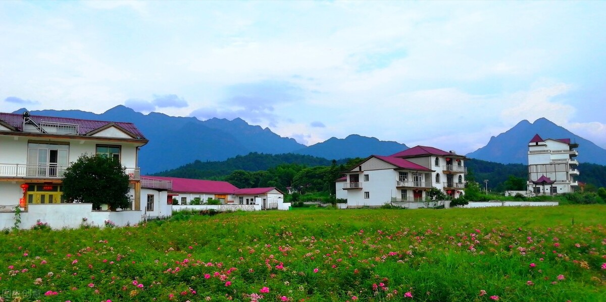 语言学视角下的高中生英语写作,高中英语写作教学国内外研究动态