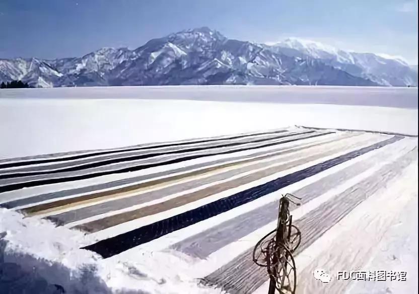 能用来制作面料的植物知多少？（下）