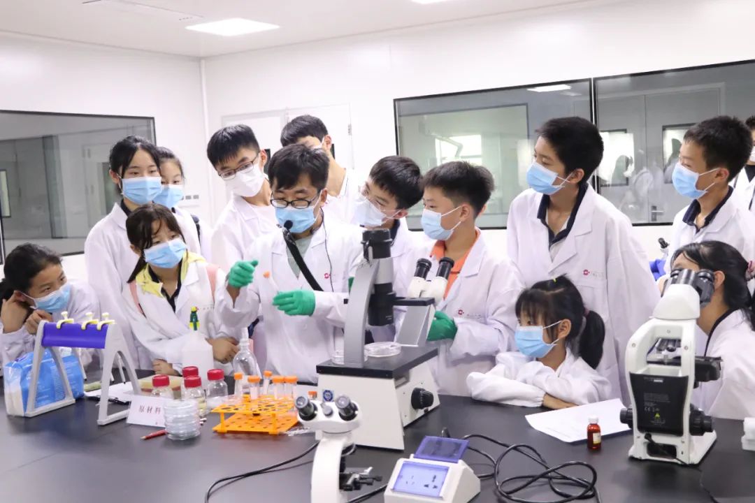 青竹湖湘一外国语学校一校两址,青竹湖湘一外国语学校分校