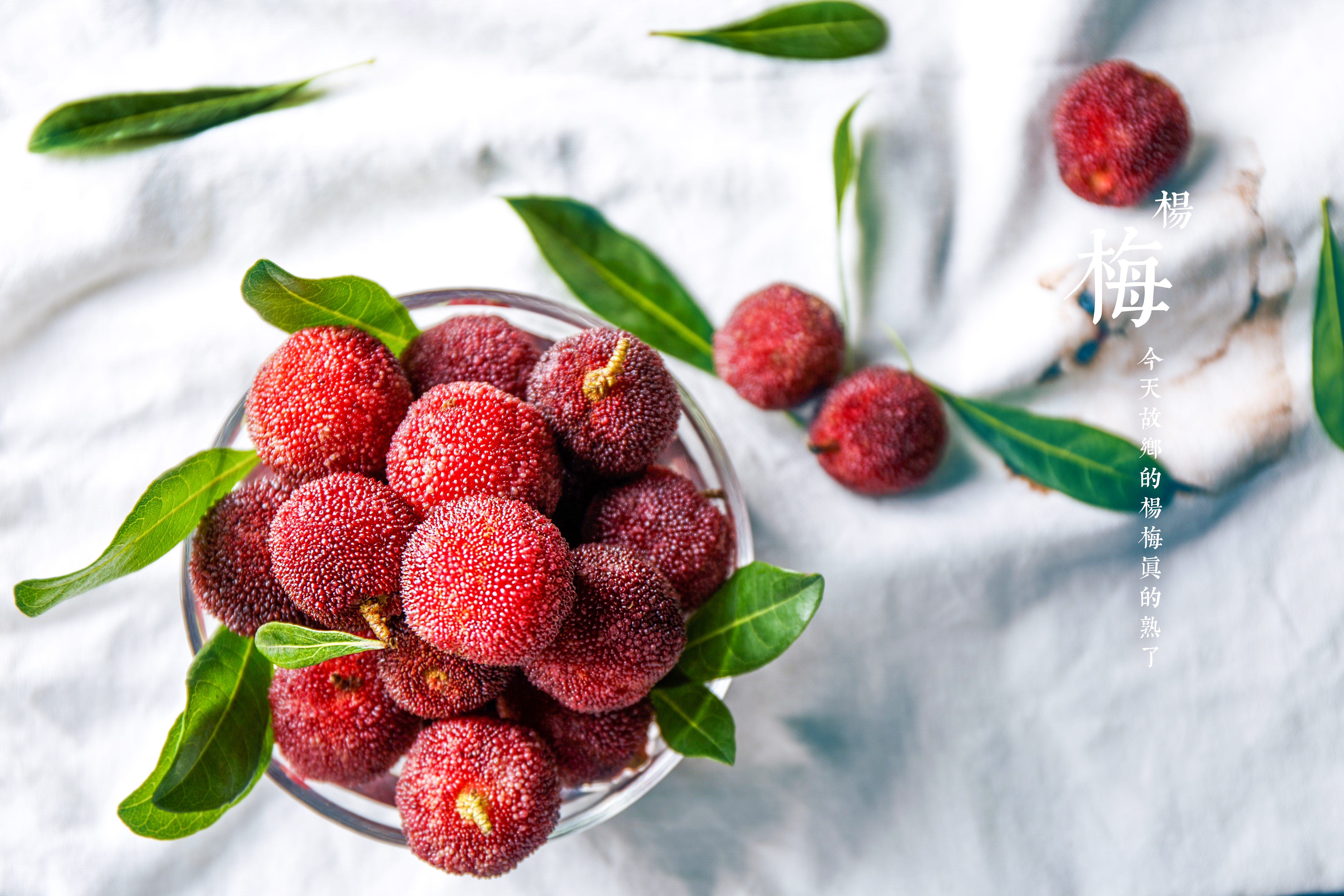 杨梅果酱能酿酒吗,杨梅吃不完的小妙招