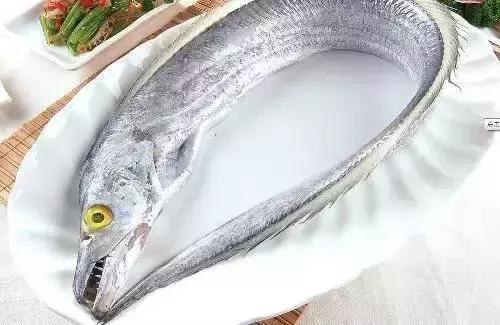 宁波一渔民整理海鲜大全,宁波最全的海鲜