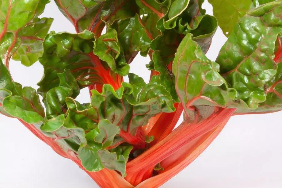 蔬菜沙拉可以用哪些酱料,蔬菜沙拉用的什么沙拉