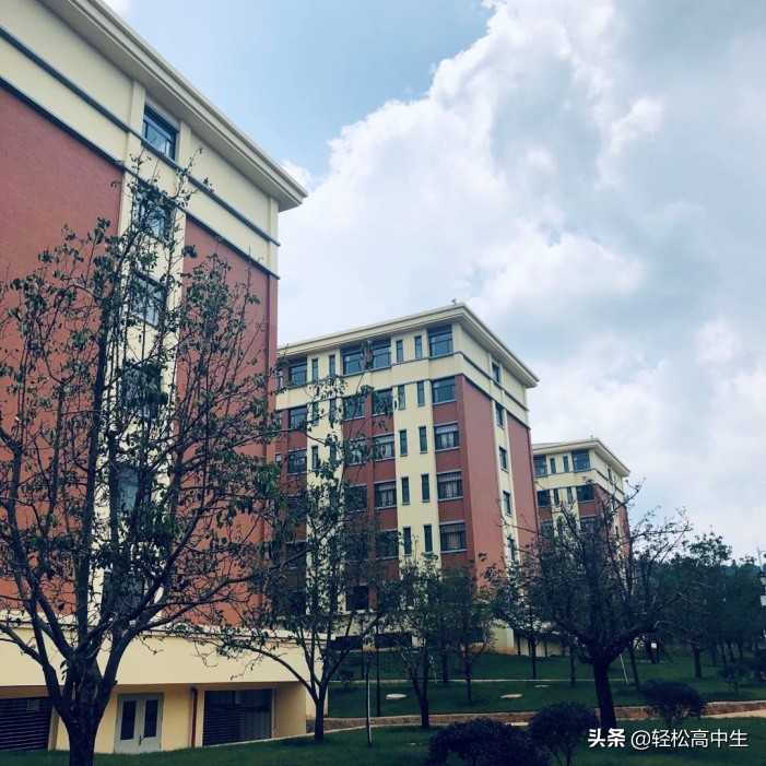 云南大学拆分出来的学校,云南大学是什么级别的学校