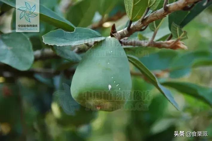 高温天气只有晚上外面凉快,高温天气凉快点