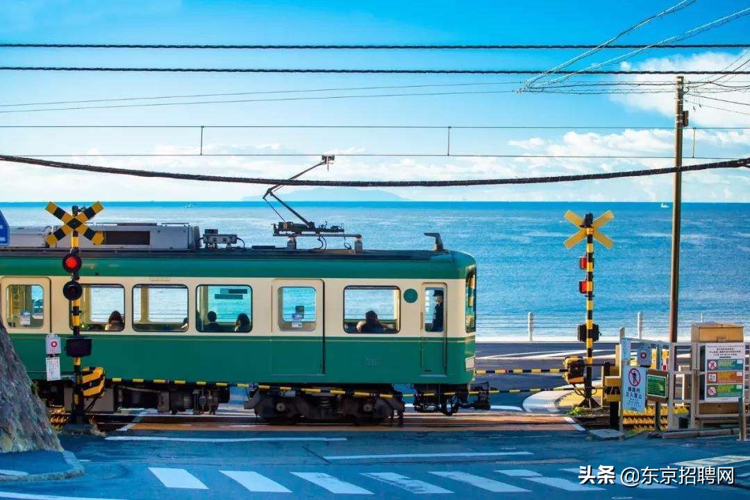 日本下月试点旅游,日本旅游全面开放