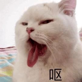 救命啊！为什么猫jiojio这么臭？