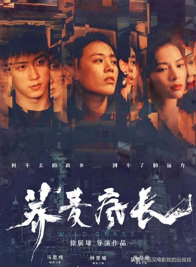 诛仙1电影预告片,诛仙1为什么没在电影院上映