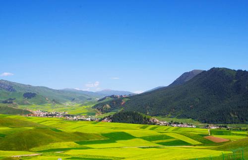 麦当劳有推人造肉吗,麦当劳人造肉进展