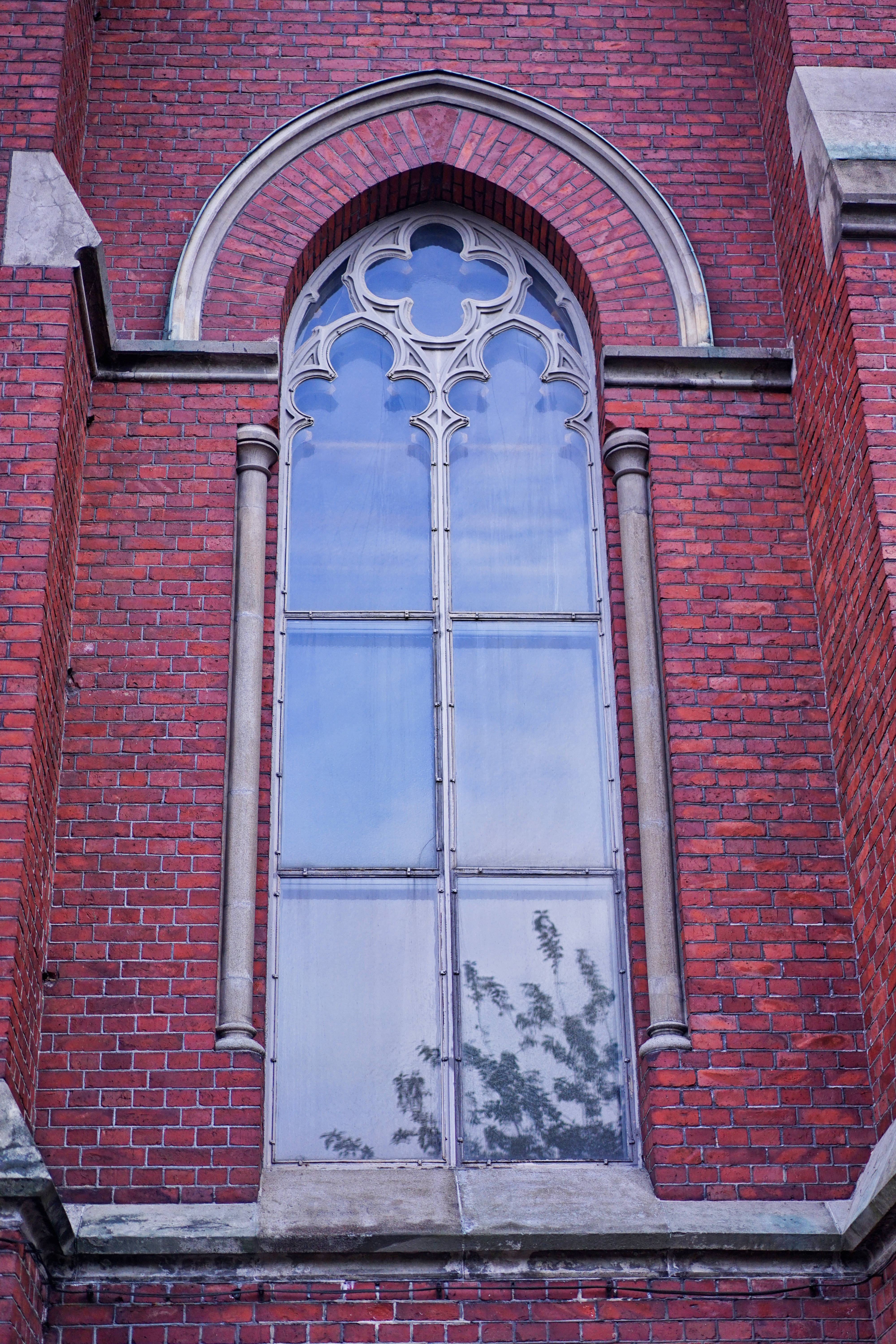 不会英语也能嗨的国家,不会英语能游遍世界吗