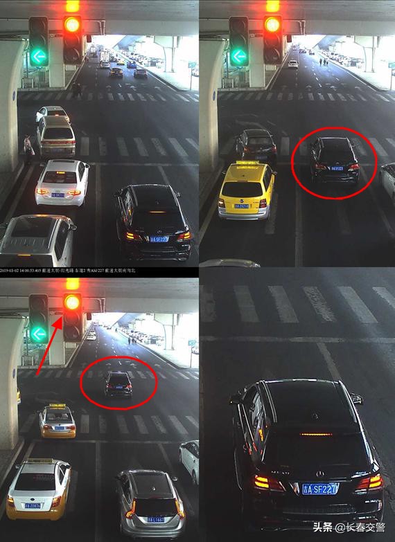 违法曝光台,违法曝光台第96期