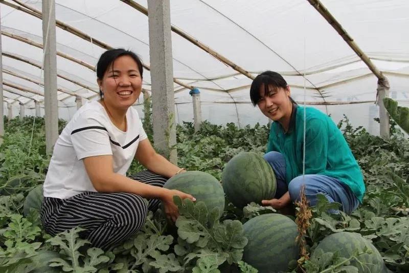 一村一品打造乡村产业,一村一品亿元村