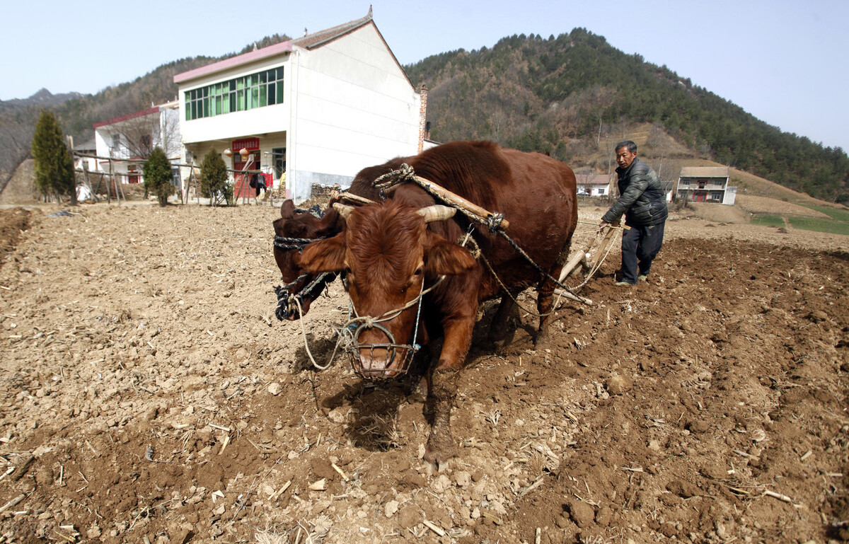 进贤好吃美食排行榜,进贤最有名气的美食和特产