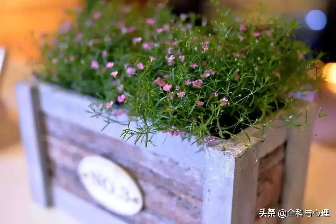 心灵鸡汤的正能量句子短句,心灵鸡汤短句经典正能量句子