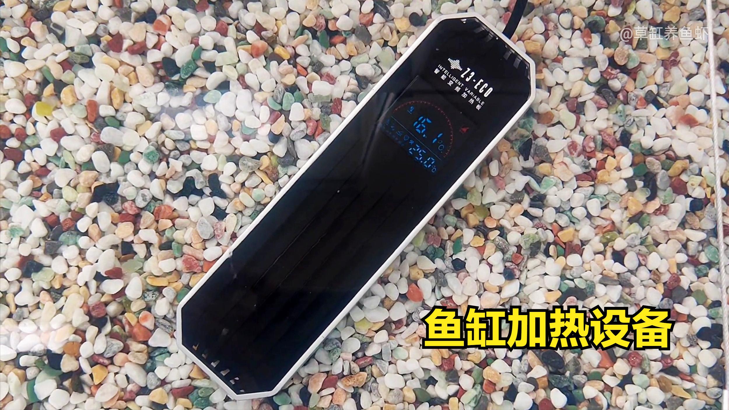 80厘米的鱼缸大约多少钱,观赏鱼缸大概需要多少钱